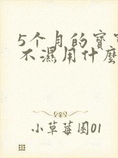 5个月的宝宝尿不湿用什么码