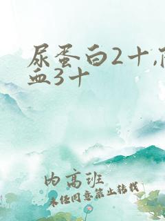 尿蛋白2十,隐血3十