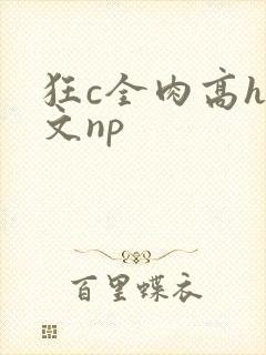 狂c全肉高h辣文np