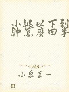 小腿以下到脚浮肿怎么回事