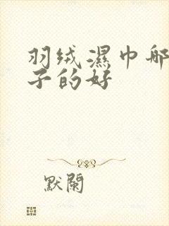 羽绒湿巾哪个牌子的好