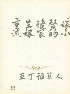 重生后替嫁医妃灭娘家的小说