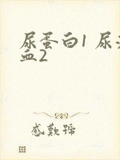 尿蛋白1 尿潜血2