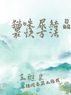 猫咪尿结晶消除最快方法