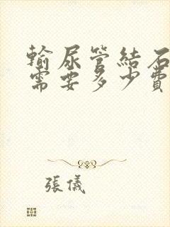 输尿管结石治疗需要多少费用