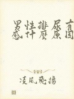 男性排尿有刺痛感什么原因