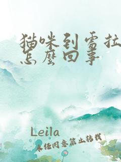 猫咪到处拉尿是怎么回事