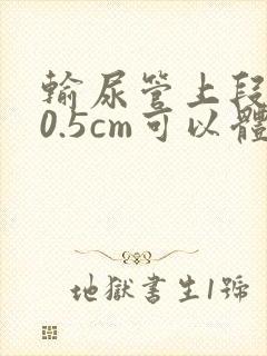 输尿管上段结石0.5cm可以体外碎石吗