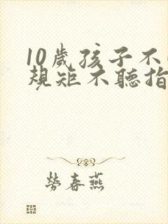 10岁孩子不懂规矩不听指令