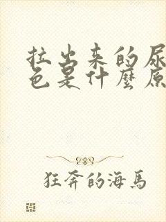 拉出来的尿偏红色是什么原因