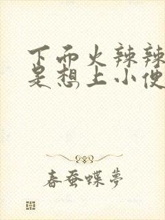 下面火辣辣的老是想上小便,怎么原因?