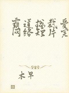 霸道总裁爱上我网络短片完版全集