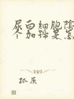 尿白细胞阴性一个加号是怎么回事