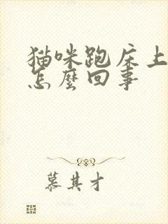 猫咪跑床上拉尿怎么回事