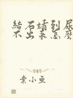 结石堵到尿道排不出来怎么办