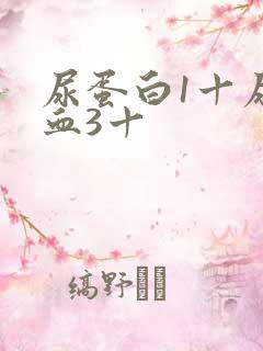 尿蛋白1十尿隐血3十