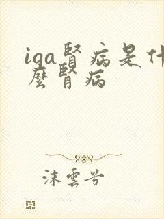 iga肾病是什么肾病