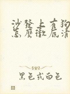 沙发上有狗尿味怎么彻底清除