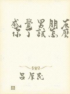 感觉男朋友不爱你了该怎么办