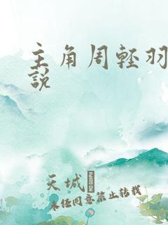 主角周轻羽的小说