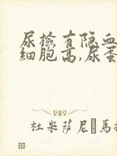 尿检有隐血,白细胞高,尿蛋白是怎么回事?