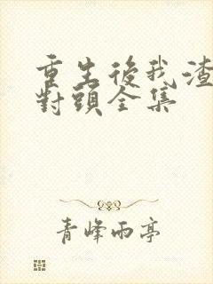 重生后我渣了死对头全集