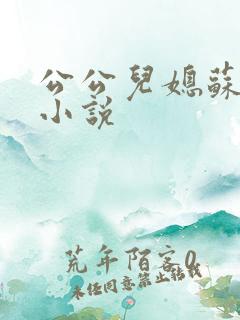 公公儿媳苏玥的小说