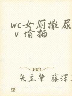 wc女厕撒尿七ⅴ偷拍