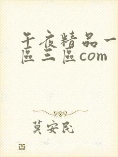 午夜精品一区二区三区com