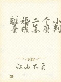 离婚二个小孩抚养权怎么判定