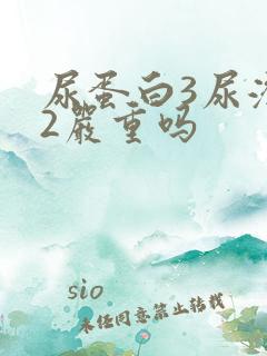 尿蛋白3尿潜血2严重吗