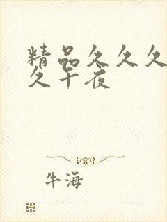 精品久久久久久久午夜