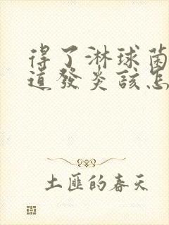 得了淋球菌性尿道发炎该怎么办