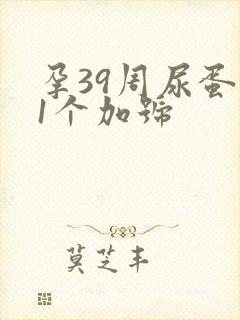 孕39周尿蛋白1个加号