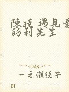 陈晓 遇见爱情的利先生