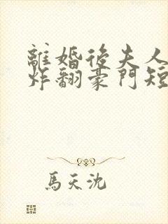 离婚后夫人带娃炸翻豪门短剧