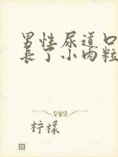 男性尿道口突然长了小肉粒