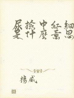 尿检中红细胞高是什么意思