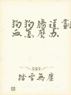 狗狗肠道划伤拉血怎么办