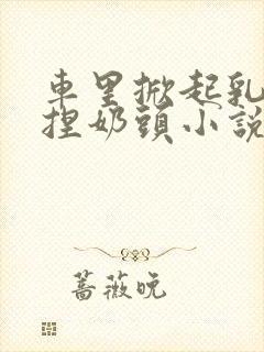 车里掀起乳罩揉捏奶头小说