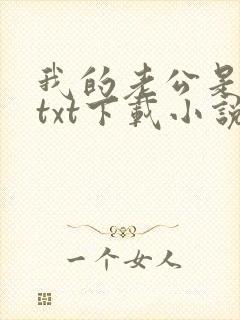 我的老公是大佬txt下载小说