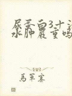 尿蛋白3十没有水肿严重吗