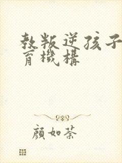 教叛逆孩子的教育机构