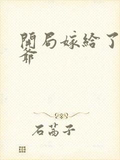 开局嫁给了傻王爷