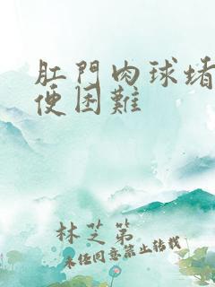 肛门肉球堵塞排便困难