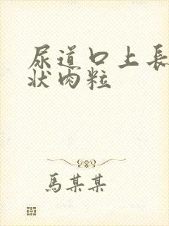 尿道口上长菜花状肉粒