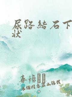 尿路结石下段症状