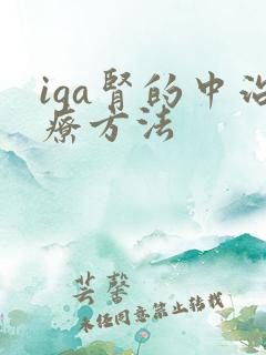 iga肾的中治疗方法