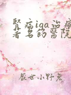 肾病iga治疗著名的医院