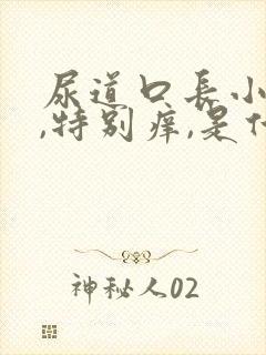 尿道口长小水泡,特别痒,是什么症状